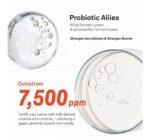 PURCELL 24/7 Colostrum Pore Defence Ampoule with PIXELL BIOM - Image 5