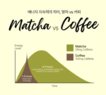 Premium Super Water Jeju Pure Matcha 100 | 2g x 10 Sticks by ZAKSIMLAB - Image 4
